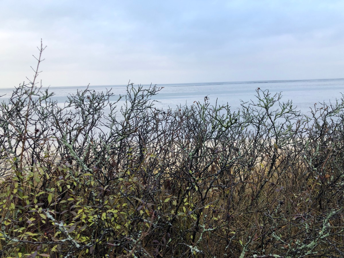 Fährhafen ohne Fähre