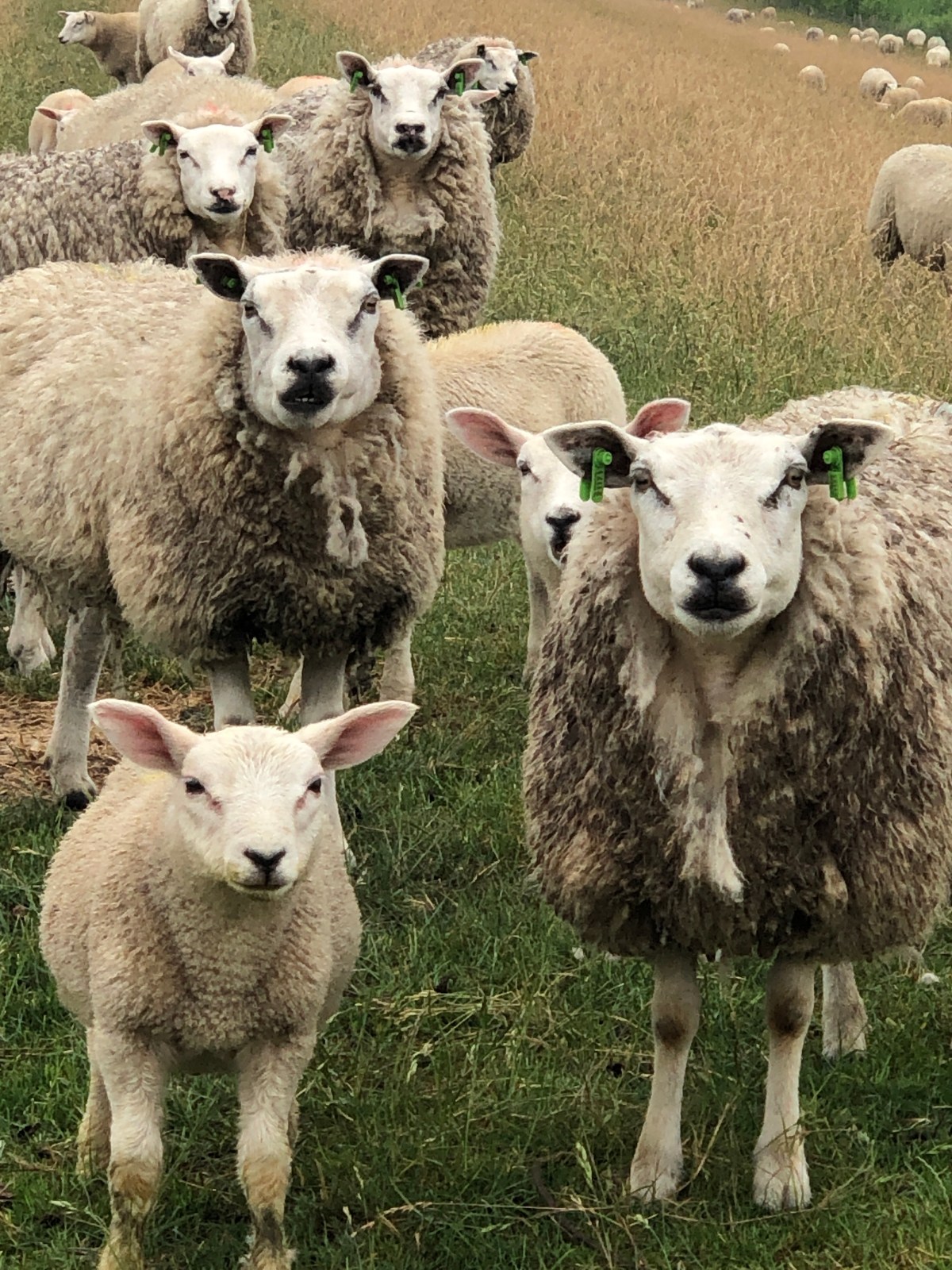 Ein Tag mit&nbsp;Tücken