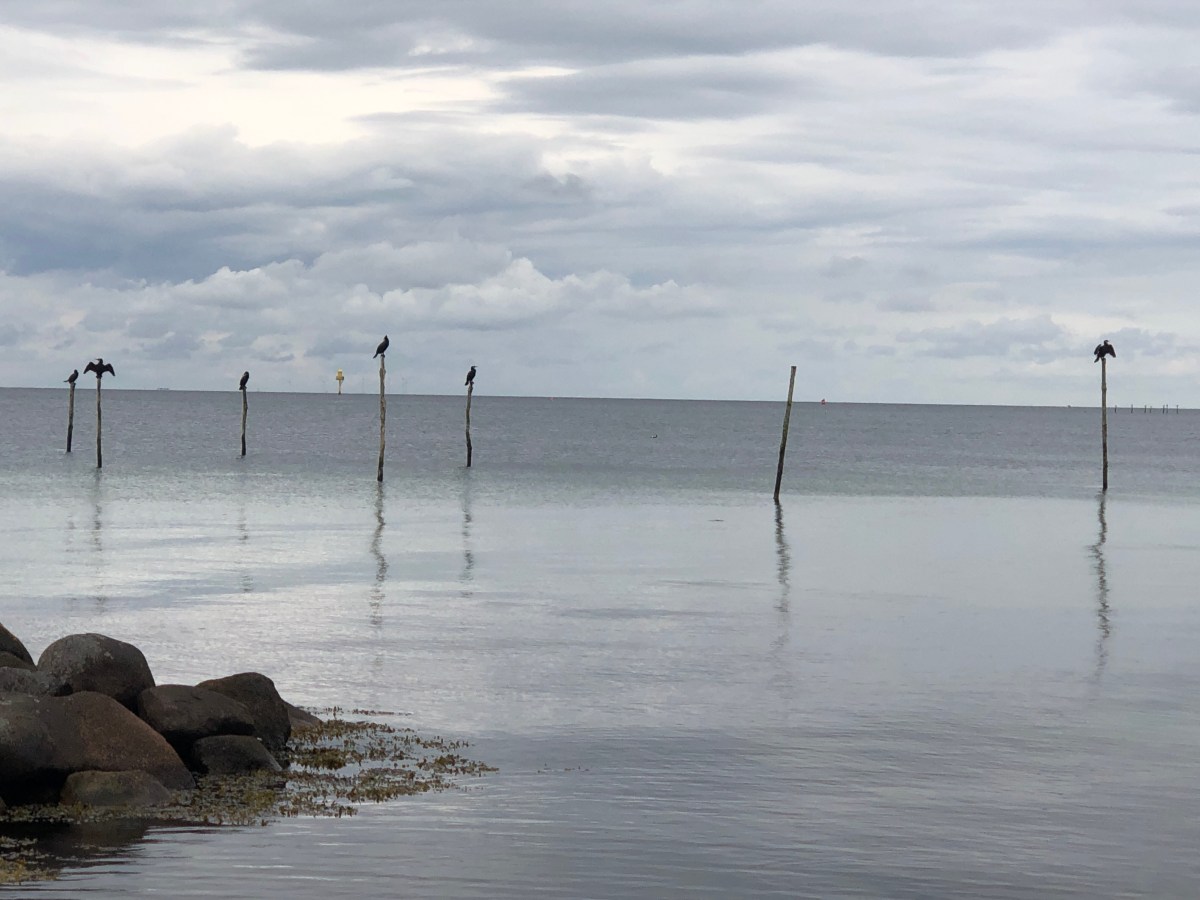 Tag 10 Off-Tag wider&nbsp;Willen