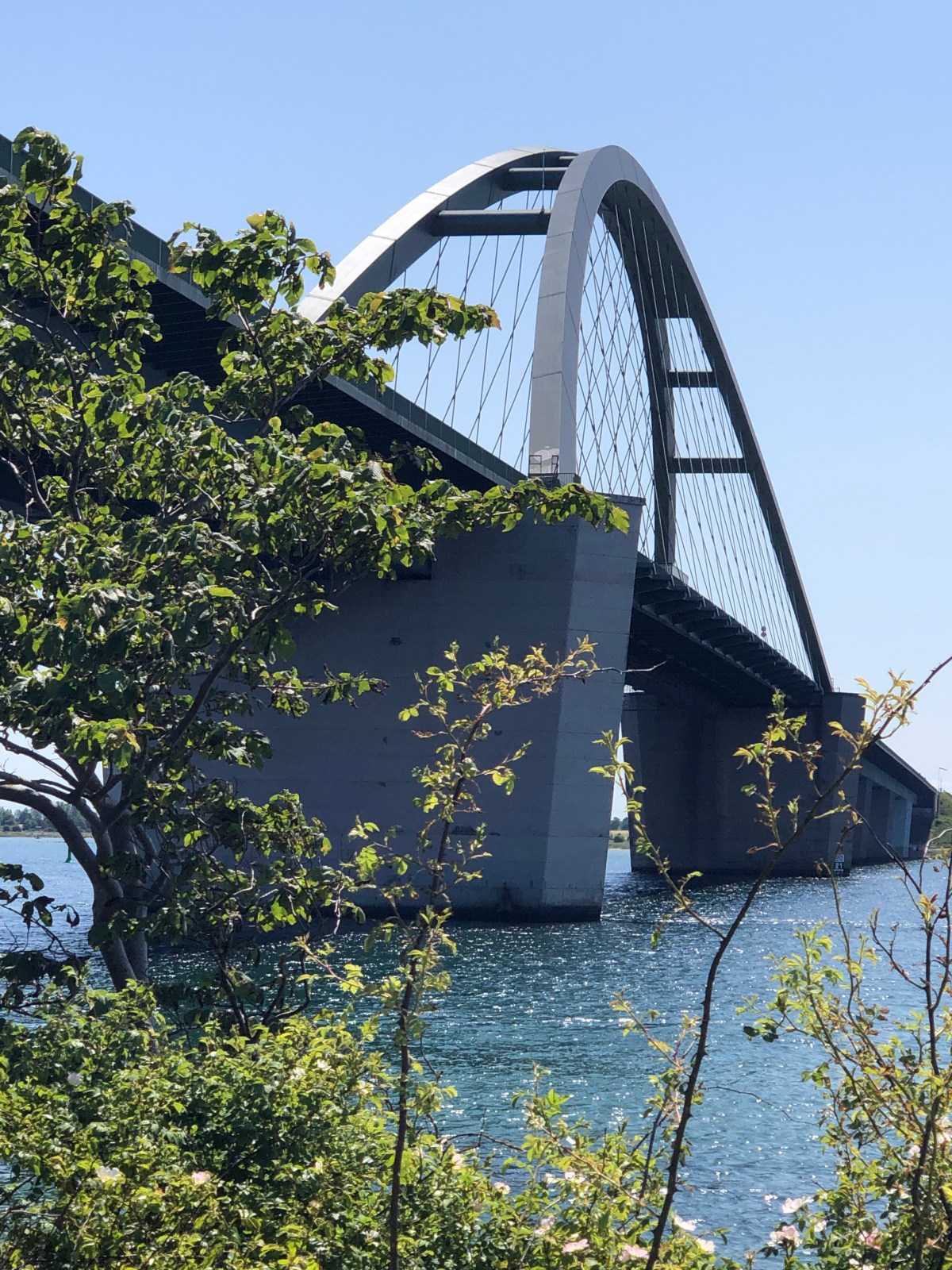 Tag 14  …die letzten&nbsp;Meter